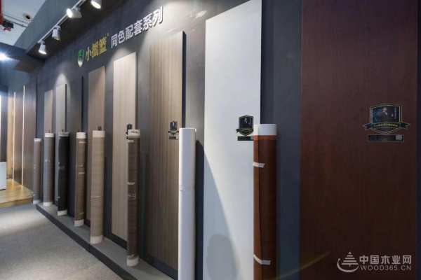 荣誉见证！小摇篮斩获“消费者信赖十大品牌”