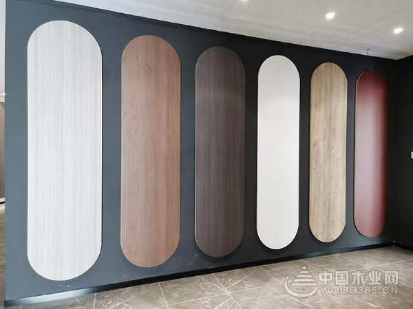 荣誉见证！小摇篮斩获“消费者信赖十大品牌”
