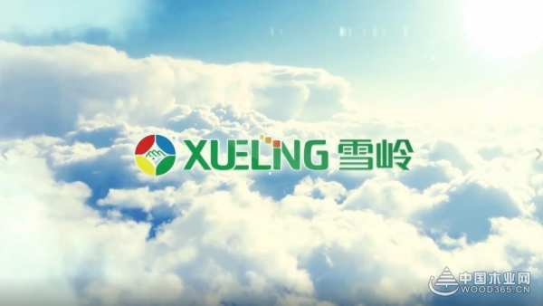 实力见证！雪岭木业当选消费者信赖十大品牌！