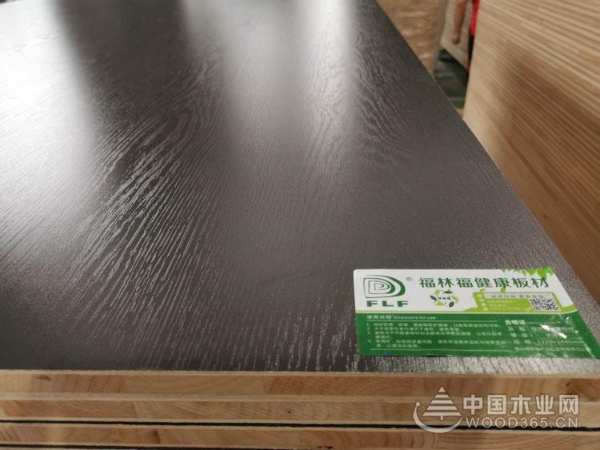 匠心筑品质 福林福斩获“绿色优质供应商十大品牌”