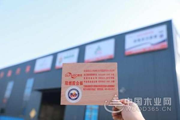安全卫士  群豪勇夺“阻燃板十大品牌”荣誉