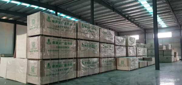 实力认证！金广森荣获“消费者信赖十大品牌”