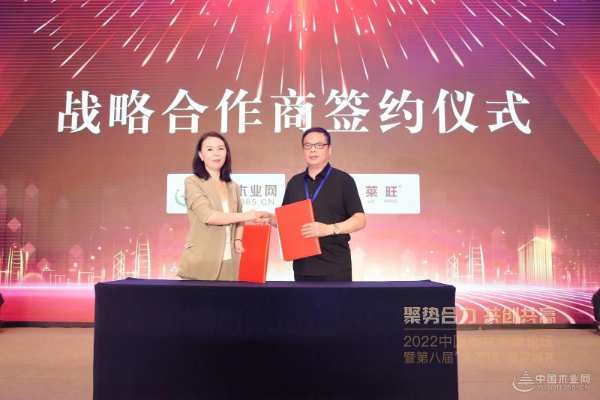 初心不变  牛莱旺再次获得环保板材十大品牌