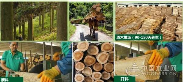 抗菌率高达99.99% 高端定制就选壮象香杉醇香板