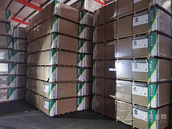 逆势而上 佰世达以奋进之姿谱写高质量发展华章