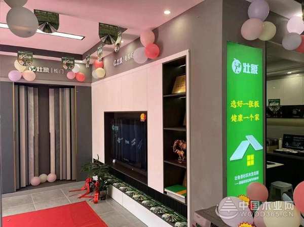 再下一城 壮象福建屏南全屋定制门店正式开业