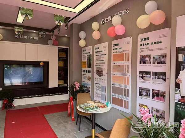 再下一城 壮象福建屏南全屋定制门店正式开业