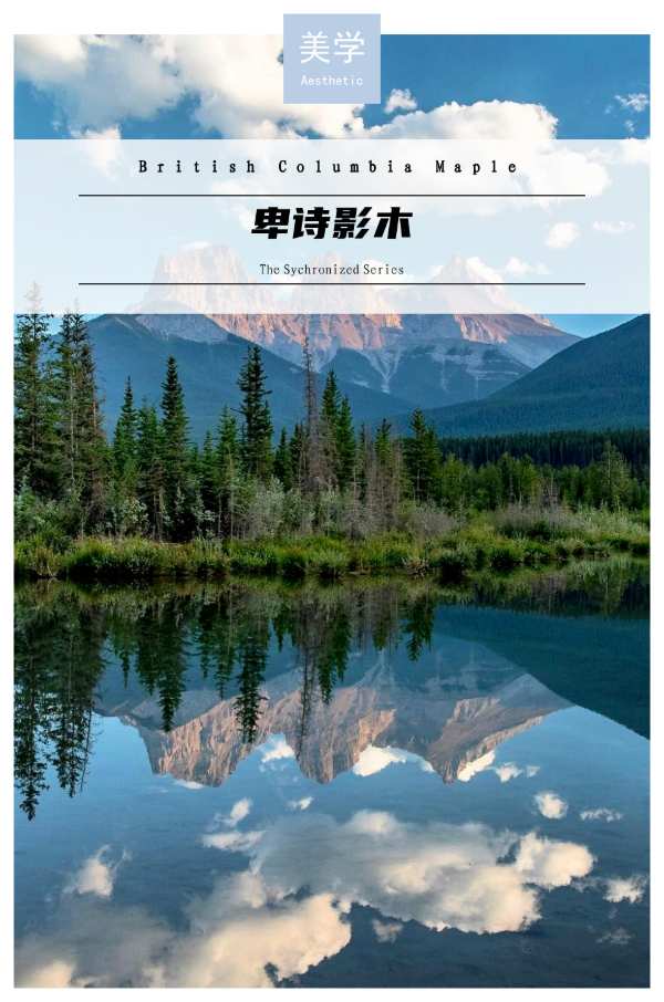 潮流趋势｜红棉花板材卑诗影木——流光溢彩·温柔明媚