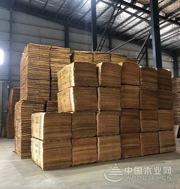 二十载栉风沐雨砥砺奋进  固姿美行稳致远凯歌前行