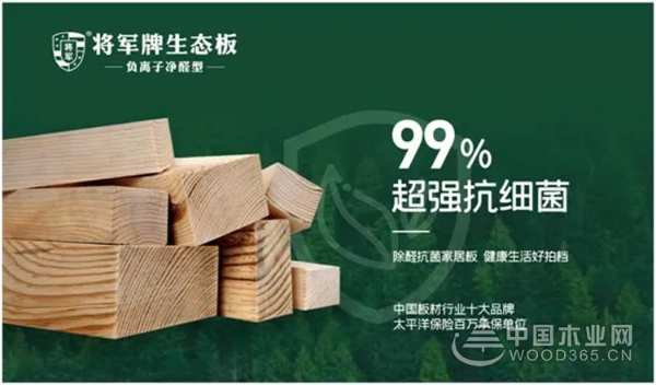 十大绿色优质供应商板材品牌