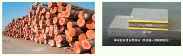 鲁丽板材荣获“中国绿色产品”和“儿童安全级产品”双认证