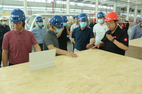 鲁丽木业召开2022年行业技术研讨会