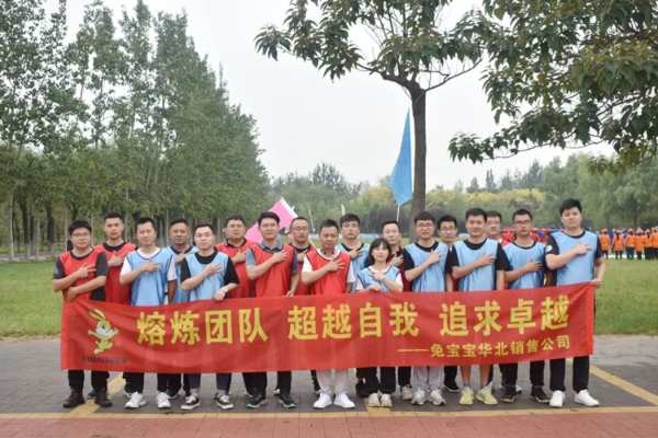 兔宝宝华北销售公司家具厂渠道的开发与深耕