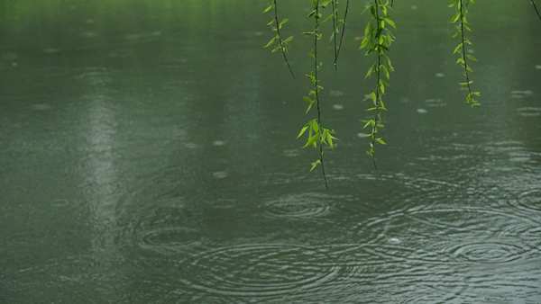 “春季多雨水，地板受潮怎么办？”兔宝宝教你8招轻松解决！
