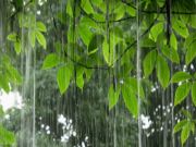 清明时节雨纷纷，木柜防潮「芯」技能！