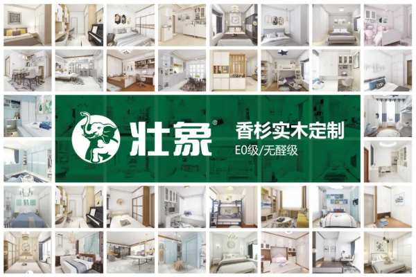 柳州市人大代表团一行莅临壮象开展产业调研