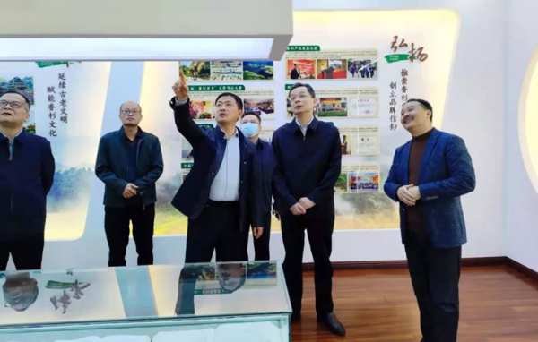 广西自治区乡村振兴局副局长到壮象调研