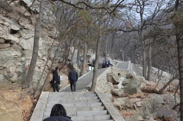 群豪木业丨山登绝顶我为峰
