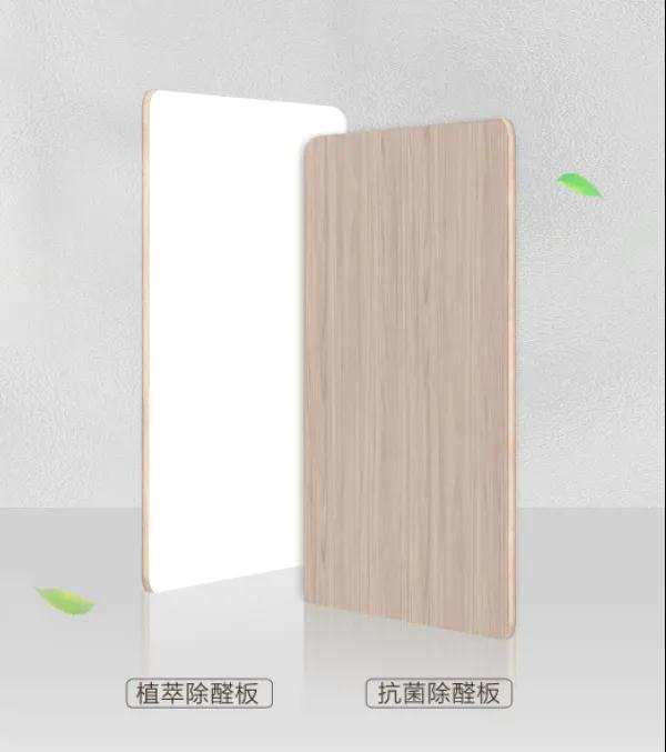 喜报 ∣ 大王椰荣获环境管理体系认证证书