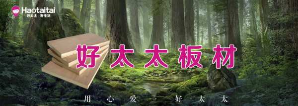 品质至上获实力认可！好太太斩获两项荣誉大奖！