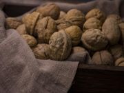 兔宝宝地板丨百搭黑胡桃，优雅新风尚