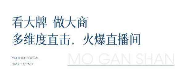  “眼界决定格局 选择决定未来”莫干山地板年终直播招商会成功举办！