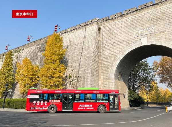 逐梦冠军，“红动”南京丨大王椰牵手国羽领跑营销新赛道 
