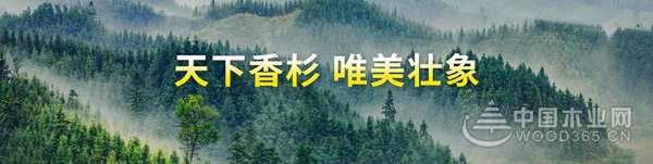 中国匠心大会在杭州召开 壮象董事长叶新忠受邀出席
