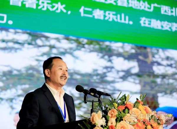  壮象董事长叶新忠受邀参加首届中国乡村文化产业创新发展大会并发言