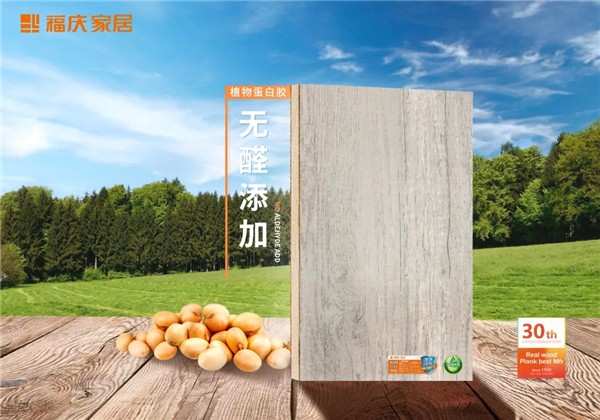 福庆木本豆净康板丨品质源于专注，健康源于自然