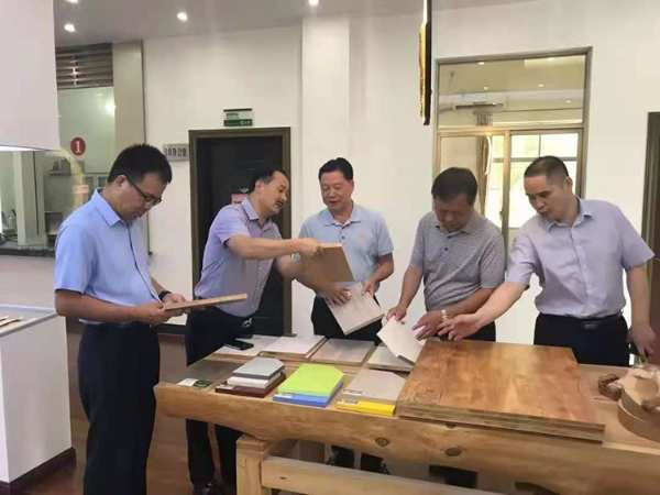 柳州市政协副主席一行到十大板材品牌壮象调研