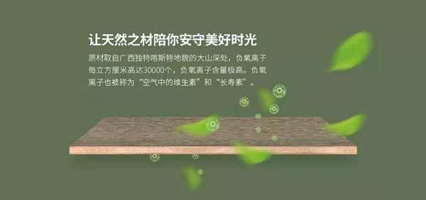 柳州市政协副主席一行到十大板材品牌壮象调研