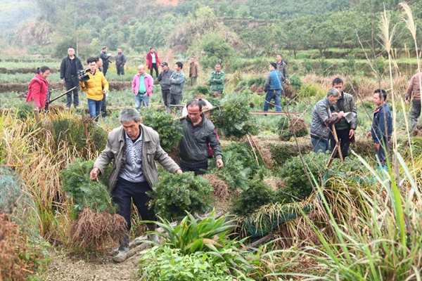 文化引领木业 助力乡村振兴 ——首届中国乡村文化产业创新发展大会暨典型案例推介活动候选单位