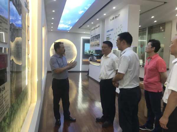 柳州市委副书记一行莅临板材十大品牌壮象考察指导