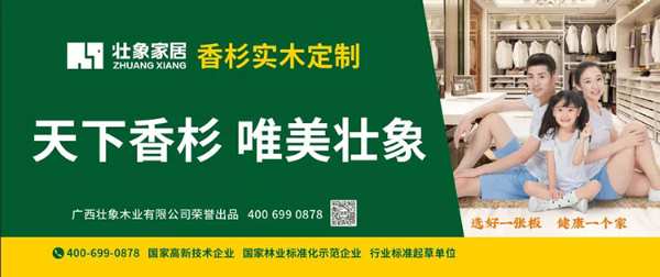 柳州市委副书记一行莅临板材十大品牌壮象考察指导