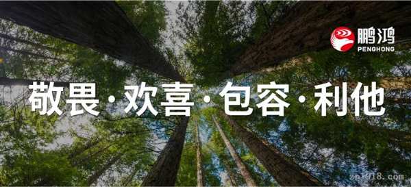 以信念之光，照亮远方