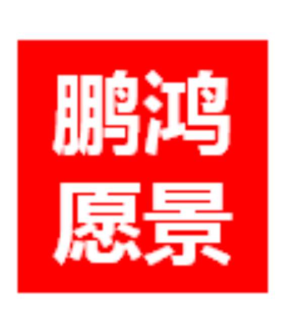 以愿景之志，破浪前行——探寻鹏鸿背后的“与众不同”