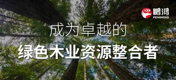 以愿景之志，破浪前行——探寻鹏鸿背后的“与众不同”