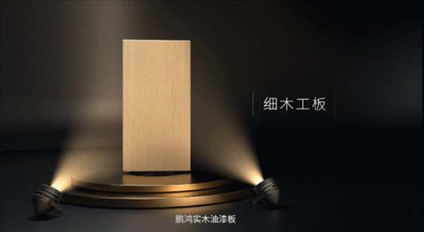 以愿景之志，破浪前行——探寻鹏鸿背后的“与众不同”
