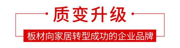 以愿景之志，破浪前行——探寻鹏鸿背后的“与众不同”