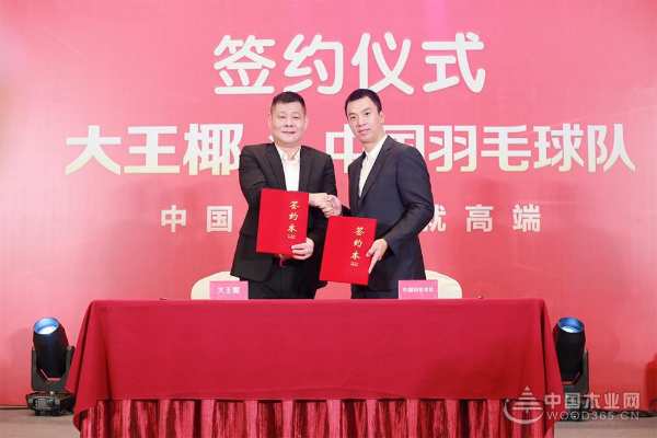 “中国力量 成就高端” 大王椰正式成为中国羽毛球队官方供应商