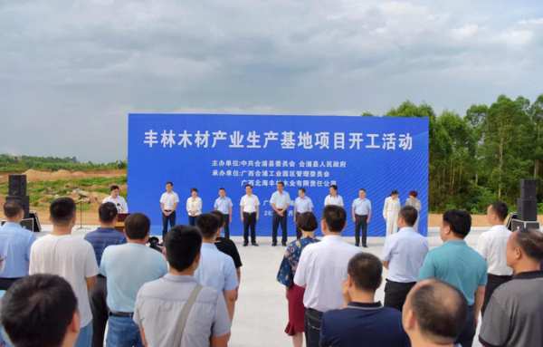 丰林木材产业生产基地项目正式开工