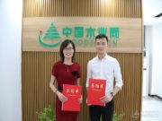 携手并进 共创共赢 龙涟国际与中国木业网达成战略合作