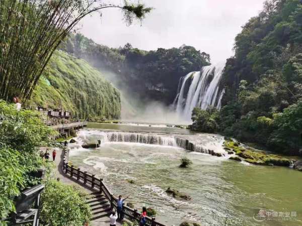 眼界决定世界 快乐成就精彩 伟新集团员工年度旅游圆满结束