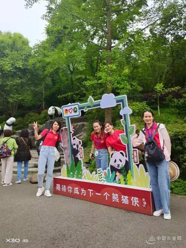 眼界决定世界 快乐成就精彩 伟新集团员工年度旅游圆满结束