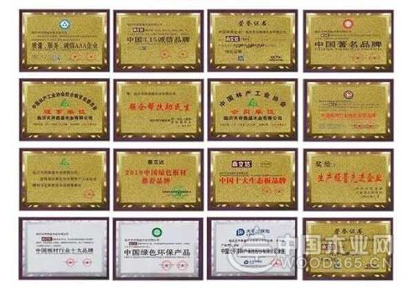 品质耕耘二十二载 鼎立达快速发展高歌猛进
