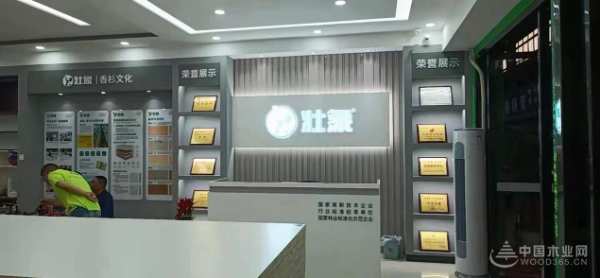 高歌猛进 壮象长沙蓝天建材市场新店盛大开业