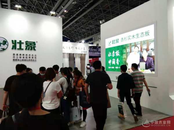 人气火爆实力圈粉 壮象广西建博会圆满收官