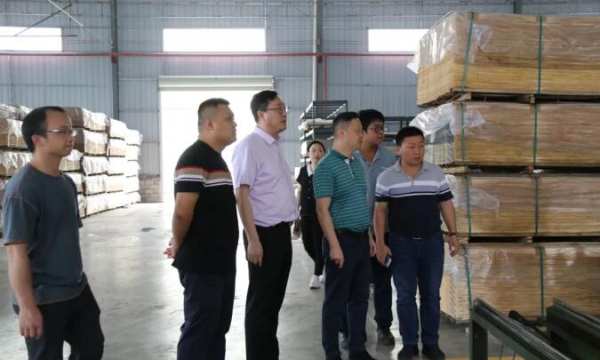 新威林板业、天湘板业公司董事前往中林装饰纸参观考察