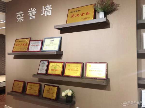 不忘初心，深耕品牌发展；强强联合，助力优饰腾飞-优饰饰业再度携手中国木业网  